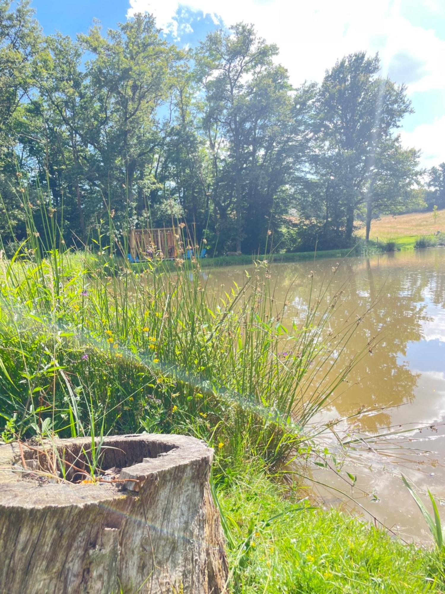 Argenton Sur Creuse Gite Neuf Avec Jardin, Foret Et Etang מראה חיצוני תמונה